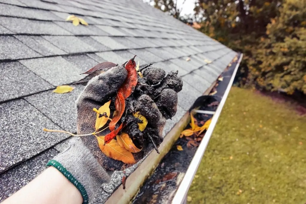 Cleaning Gutter