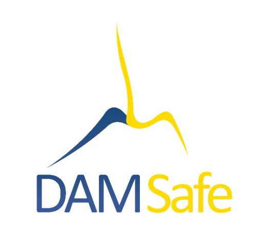 logo_damsafe