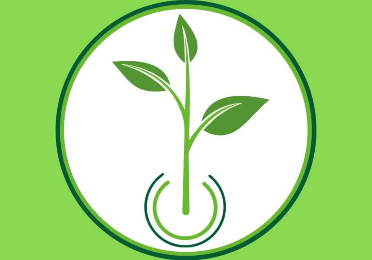 Livre Ambiental - Dedetizacao e Servicos Tecnicos